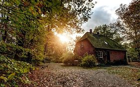 Forsthaus - Gut Thansen